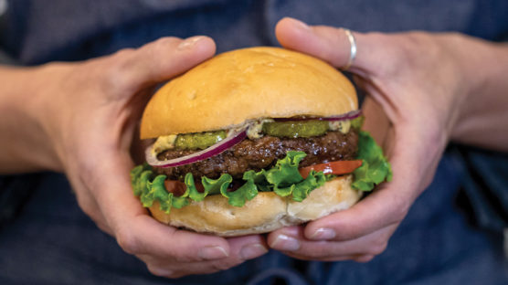 Person who holding hamburger with air fried burger, lettuce, tomato, pickles and red onion
