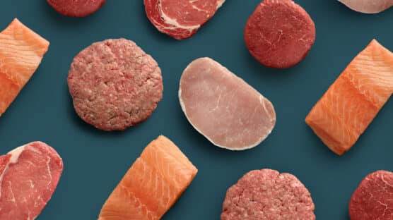Image with burger patty, salmon fillet, boneless pork chop, filet mignon and NY strip with a teal background.